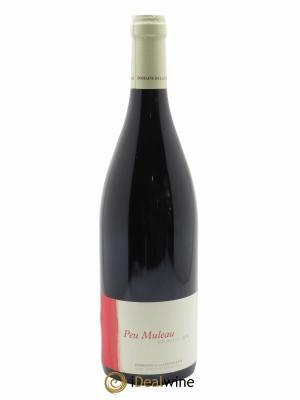Bourgueil Peu Muleau Domaine de la Chevalerie 