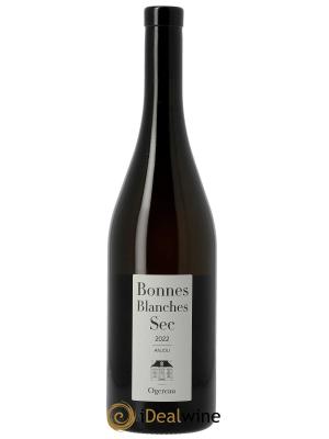 Anjou Bonnes Blanches Domaine Ogereau 