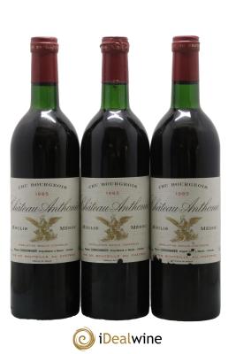 Château Anthonic Cru Bourgeois