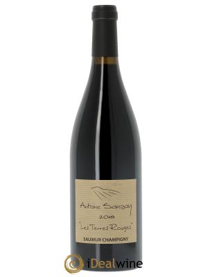 Saumur-Champigny Les Terres Rouges Antoine Sanzay 