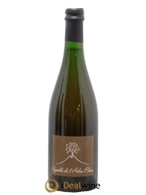 Vin de France Les Fesses Vignoble de l'Arbre Blanc