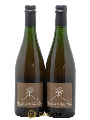 Vin de France Les Fesses Vignoble de l'Arbre Blanc